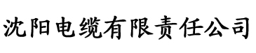 91污污香蕉视频下载电缆厂logo